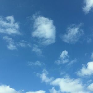 Meet your Posher, Kibble